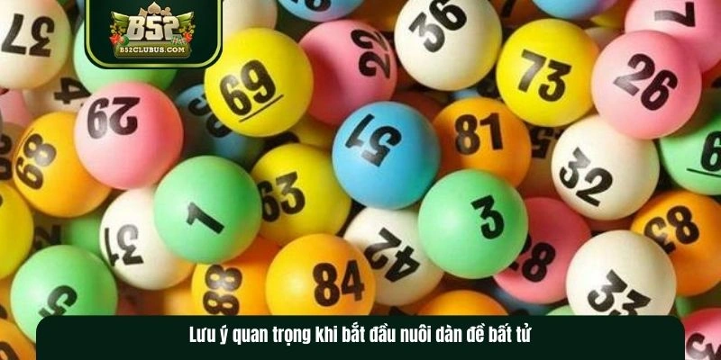 Các lưu ý khi tiến hành tạo dàn đề bất tử Các lưu ý khi tiến hành tạo dàn đề bất tử