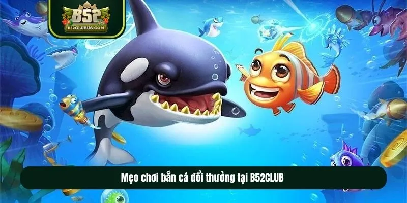 Mẹo chơi bắn cá đổi thưởng tại B52CLUB Mẹo chơi bắn cá đổi thưởng tại B52CLUB